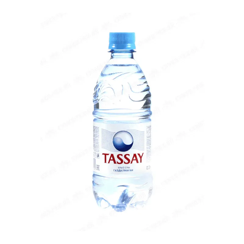 Вода негазированная питьевая Tassay без газа 0,5 л пластик
