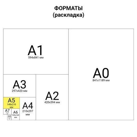 Блокнот А5 146х205 мм, 60 л., гребень, перфорация на отрыв, лакированный, BRAUBERG, Зеленый - миниатюра 5